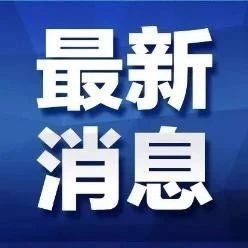 鱿鱼条预包装食品 方便与品质兼顾的海味零食